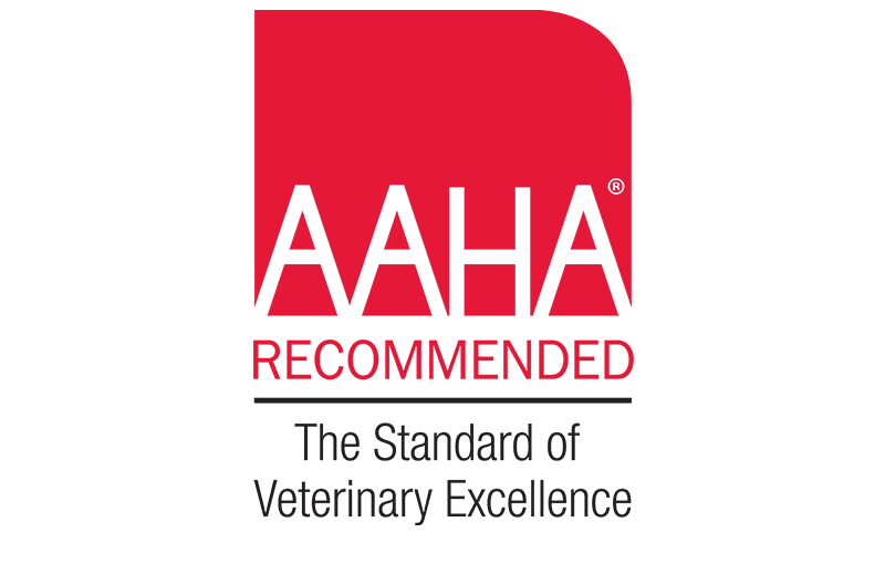 AAHA-Accredited Veterinary Hospital