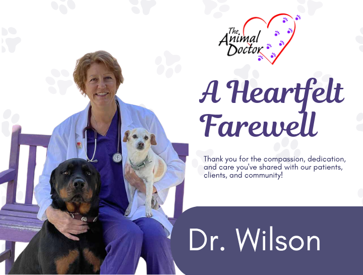 An Important Update About Our Veterinary Team